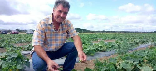 Le cornichon nouvel ambassadeur du "made in France" ?