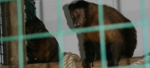 Détenus illégalement, ils finissent au Refuge de l’Arche