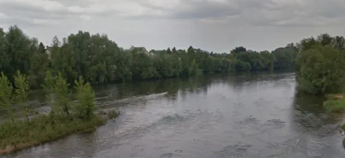 Mort d'un chien : les eaux du Cher ont été analysées