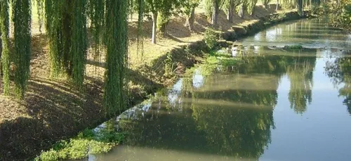 Restrictions atténuées pour l’usage de l’eau en Loir-et-Cher