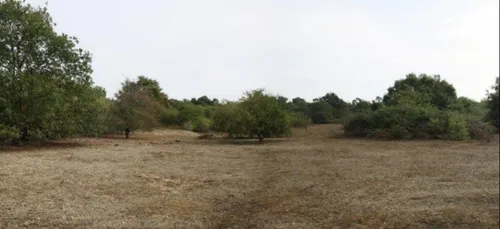 Champ photovoltaïque au Mans : l’enquête publique débute