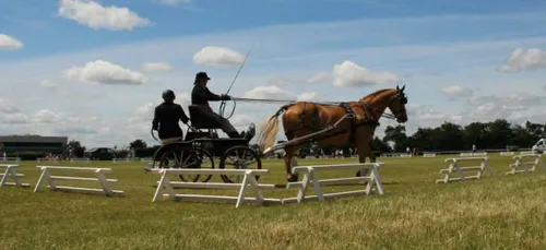 Meslay-du-Maine, capitale du cheval de trait