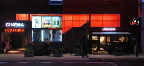 Le cinéma tisse sa toile en Loir-et-Cher