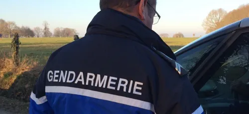 Alcool au volant : sur la D98, cinq fois au-dessus du taux maximum