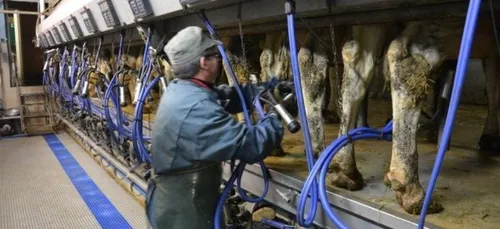 Les éleveurs ornais ne veulent pas compter pour du beurre