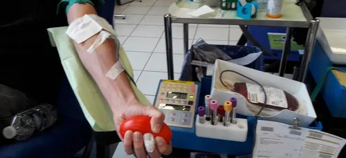 Quelaines-Saint-Gault : et si on donnait ?