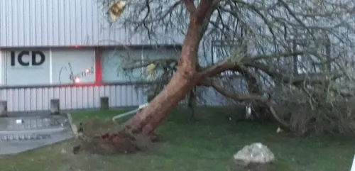 Orne : le vent a soufflé très fort