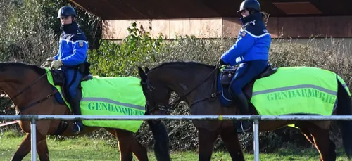 Des chevaux et un drone pour sécuriser le cross Ouest-France