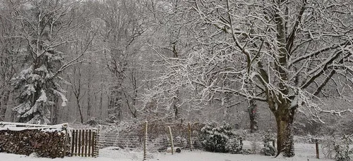 En hiver, parfois il neige