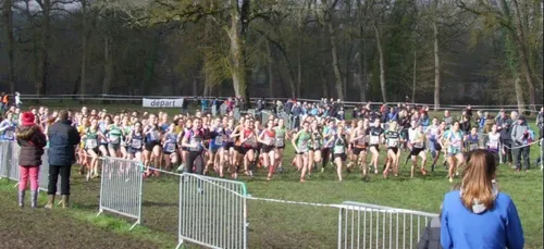 Cross country : quatre titres pour le Loir-et-Cher