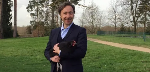 La poule du Mans de retour à Versailles