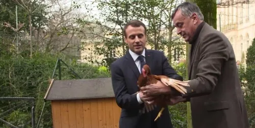 Les poules de Loué sont arrivées à l’Elysée [Vidéo]