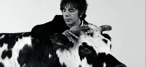 Thomas Fersen en concert à L'Aigle