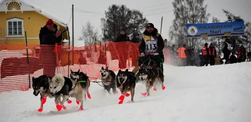 Le musher sarthois ramène une dixième place des mondiaux [Vidéo]