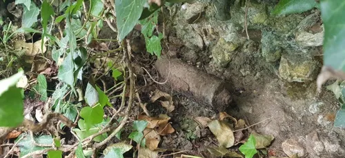 Le Mans : elle découvre un obus