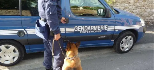 Un vaste trafic de stups démantelé en Eure-et-Loir