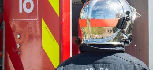 Tresson : deux hectares partent en fumée