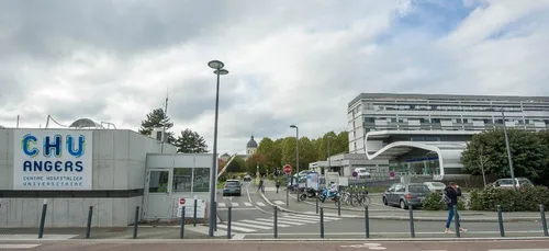 La Flèche : percuté, le piéton décède