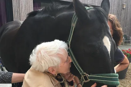 Waou : ce cheval fait des miracles