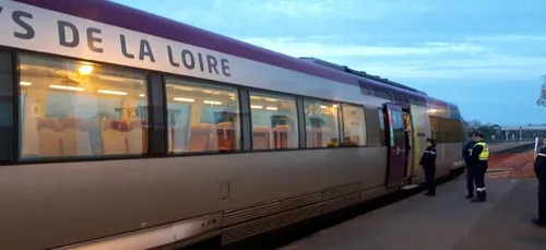 Château-du-Loir : opération anti-stups dans les trains
