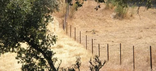 L’engrillagement de la Sologne met Peltier et Bonneau sur la même...