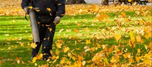 O2 accorde une "prime Macron" et le fait savoir