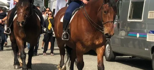Une police montée dans les rues d'Alençon ?