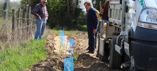 Dans le Perche ornais, on soutient la plantation de haies