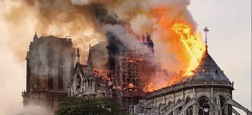 Notre-Dame-de-Paris : la Normandie offre son bois pour la...