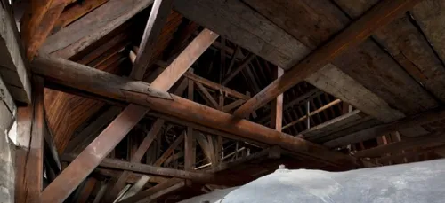 Des chênes du pays d’Ouche pour rebâtir Notre-Dame