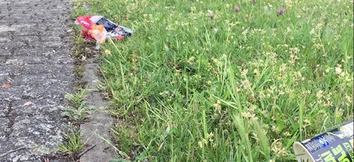 Alençon : séance de plogging ce dimanche !