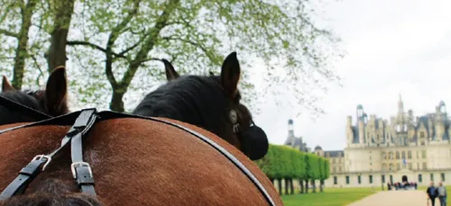 Chambord, capitale du cheval le temps d’un week-end