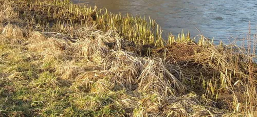 Dans l’Eure, le niveau des réserves d’eau préoccupe déjà