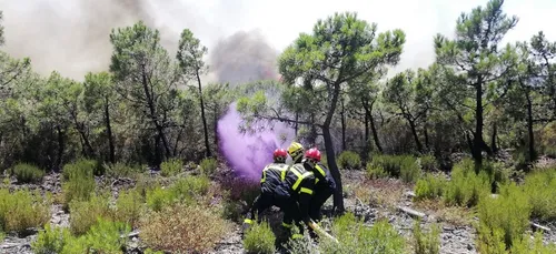 La sécurité civile de Nogent-le-Rotrou mobilisée dans le sud de la...