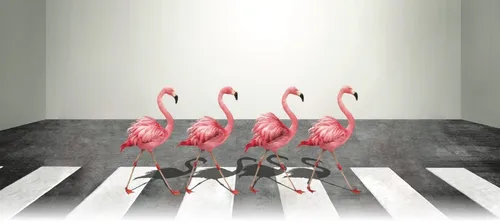 Sweet FM à la Foire du Mans !