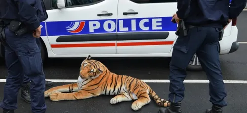 Un tigre en peluche "capturé" par les policiers au Mans