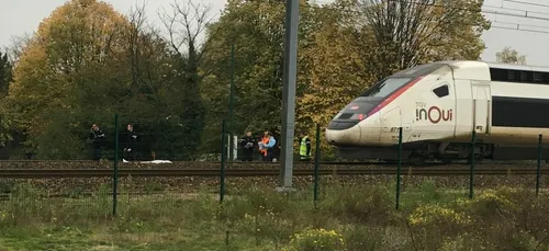 Aux portes du Mans, le TGV percute une personne