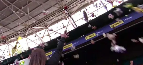 Caen-Le Mans : un lancer de peluches pour la bonne cause