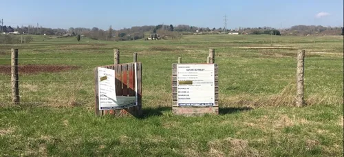 Ikea-Leclerc à Béner : du plomb dans l'aile pour l'ultime recours