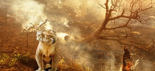 Zoo de Beauval : prêt à combattre le "monstre"