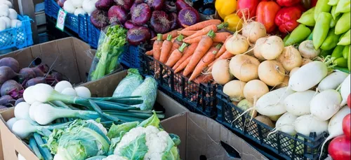 Annulation des marchés : la ville du Mans réévaluera sa position...