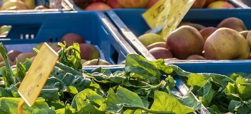 Château-Gontier : les producteurs locaux de retour en ville
