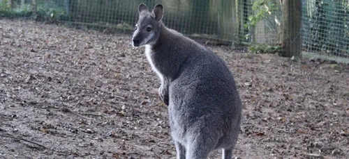 Le Refuge de L’Arche appelle à l’aide