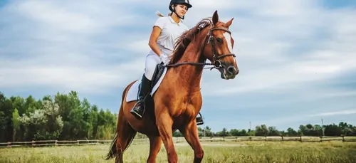 Les parlementaires ornais réclament 70 millions d’euros pour sauver...