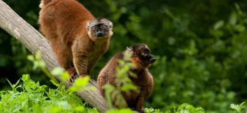Refuge de L'Arche : réouverture au public ce lundi 18 mai