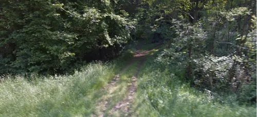 En Sarthe, les forestiers privés redoutent un afflux de promeneurs