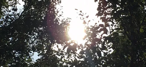 Dans l’ouest, premier pic de chaleur cette semaine