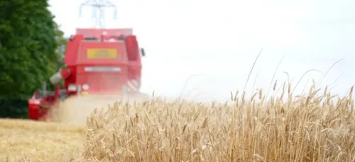 Loir-et-Cher : très mauvaise année pour les moissons