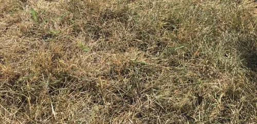 Orne : situation de sécheresse pour deux bassins