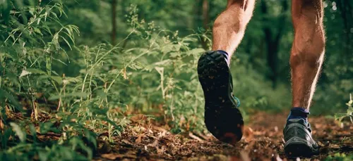 La 10e édition du Craon Natur’Halles Trail annulée